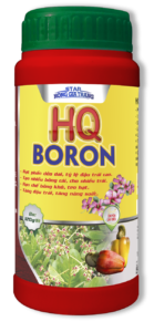 Phân bón HQ BORON 1000ml - Phân bón Chuyên Cây Điều - Phân bón STAR Nông Gia Trang