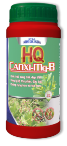 Phân bón HQ CANXI-MG-B 1000ml – Phân bón Chuyên Cây Điều – Phân bón STAR Nông Gia Trang