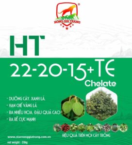 Phân bón HT 22-20-15 + TE Chelate – Xô 20Kg 