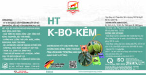 HT K - BO - KẼM